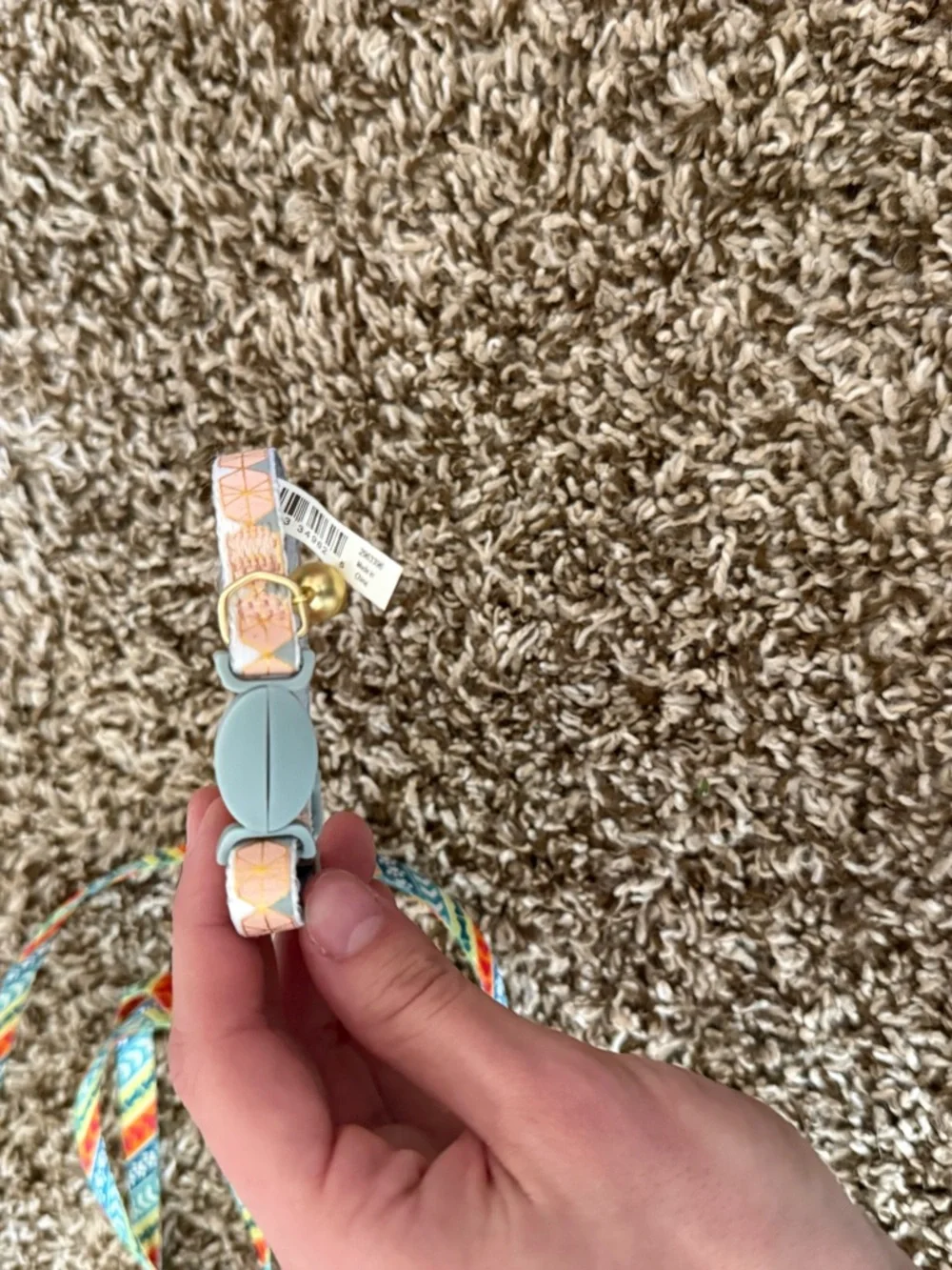 Cat harnesses with matching leashes
